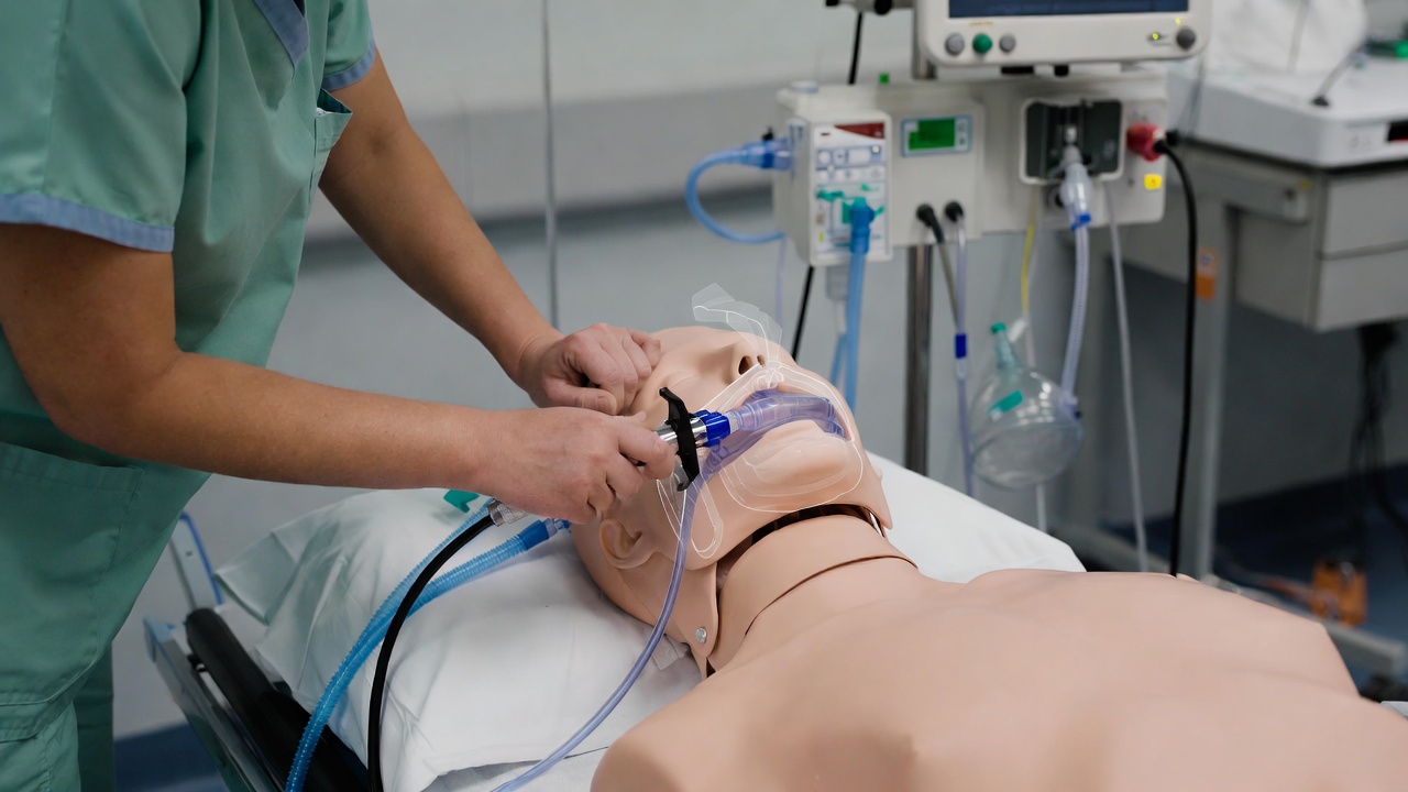 AR-Airway Adult Training